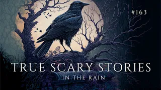 Raven's Reading Room 163 | TRUE Scary Stories in the Rain | The Archives of @RavenReads
