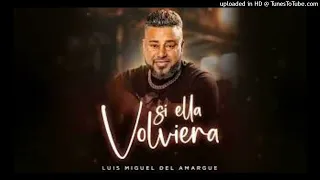 Luis Miguel del Amargue  - Si Ella Volviera