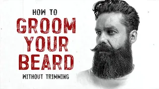 HOW TO GROOM YOUR BEARD WITHOUT TRIMMING IT