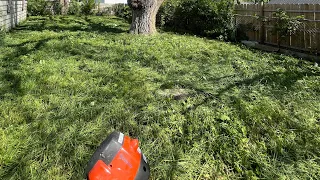 These yards were overgrown and needed  trim let’s do some lawn care magic!