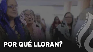 Por Qué Lloran? | Sentimiento Apostólico | LLDM