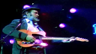 Roy Buchanan - Blues in D 1985(live)