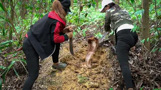 Survival shelter - Go Get Firewood Two Girls Meet the Snake Giving Birth In The forest