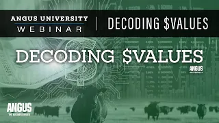 Decoding $Values | WEBINAR - Feb. 28, 2023