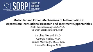 Molecular and Circuit Mechanisms of Inflammation in Depression: