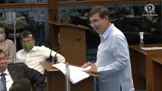 Recto's valedictory speech: Honor the Senate's heritage as 'a bulwark of democracy, independence'