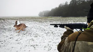 HARE HUNT 2023. Hares knock down!