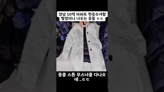 강남50억아파트 헌옷수거함에서 나온 명품브랜드