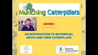 An introduction to Butterflies, Moths and their Caterpillars