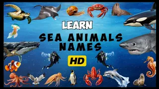 Sea Animals | Learning Aquatic Animals names | Kids  Vocabulary | In English #Aquaticanimals #sea