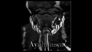 AYAHUASCA - Sexual Desire