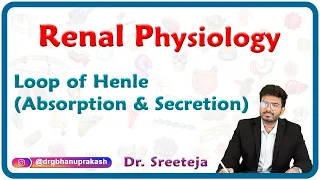 Loop Of Henle ( Absorption and Secretion ): Renal Physiology USMLE Step 1