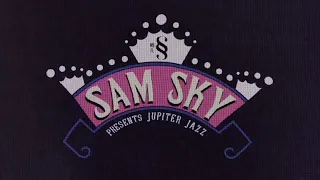 Sam Sky - "Fade" (Official Visualizer)