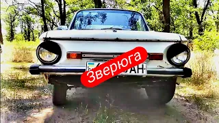 Оживили ЗАЗ-968м простоявший больше 2-х лет на улице. Поездка без ТОРМОЗОВ и СЛОМАННОЙ КОРОБКОЙ