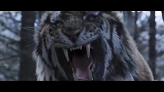 Король тигров-I have a plan(песня Шрама)