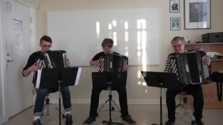 Phantom of the opera - accordion trio