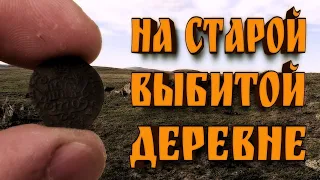 Коп на старой выбитой деревне. Поиск монет с металлоискателем.