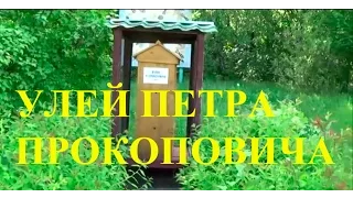Улей Петра Прокоповича в Институте пчеловодства Киев Украина
