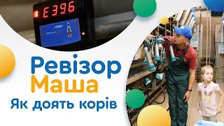 Як доять корів і зберігають здорове молоко? Ревізор Маша на фермі Аросвіт.