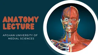INTRODUCTION TO NERVOUS SYSTEM AND OLFACTORY NERVE | ANATOMY BY DR  AJMAL KHANDAN