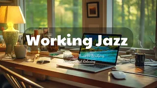 Office Jazz Symphony 🍵 Harmony between work and relaxation | Creates a productive atmosphere
