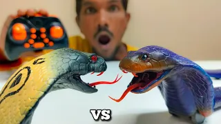 RC Fastest Naja Black King Cobra Unboxing & Testing - Chatpat toy tv