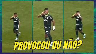 GESTO DE GABRIEL MENINO EM GOL DO PALMEIRAS DIVIDE OPINIÃO DA TORCIDA