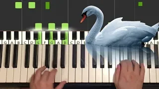 Tchaikovsky - Swan Lake (Piano Tutorial Lesson)