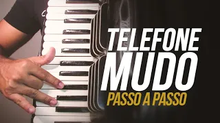 VÍDEO AULA DE ACORDEON - TELEFONE MUDO - TRIO PARADA DURA  | 133