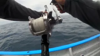 Ensenada Mad macs bluefin 100+lbs!!! Panga fishing!