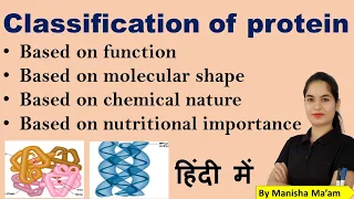 Classification of Protein | Based on function | molecular shape | Chemical nature | Biochemistry