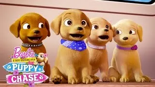 Puppy Playground | Barbie & Her Sisters in a Puppy Chase | @Barbie