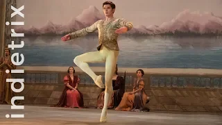 The White Crow review: Ralph Fiennes dances with Nureyev in ballet biopic