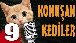 Konuşan Kediler 9 - En Komik Kedi Videoları!  [ALTYAZILI]