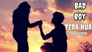 TERA HUA.fully lyrics song (Slowed+Reverb) song  from BAD  BOY new movie #new song