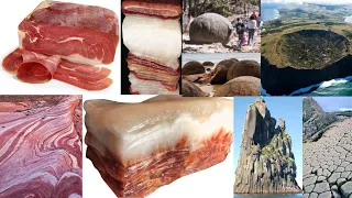 Some Rocks are petrified meat. Others are petrified giant trees or something else