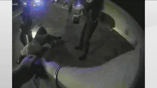 Body cam video shows officers confront man with machete before shooting him