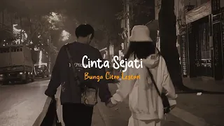 Cinta Sejati - BCL (Tiktok Version)Lembah yang berwarna Membentuk melekuk memeluk kita(With Lyrics)