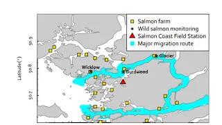 Farm free salmon migration corridors