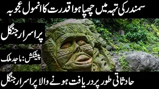 AMAZON JUNGLE | DISCOVERY OF AMAZON JUNGLE | ANIMALS OF AMAZON | Urdu Cover