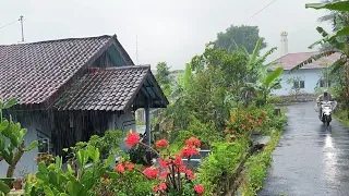 Relaxing rain in a cool and quiet village||Indonesian rural atmosphere