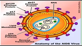 HIV (AIDS) History , life cycle, epidemiology, Diagnosis, transmission, Treatment (Microbiology)