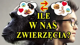 Rządzą Nami Zwierzęce Instynkty! - Zobacz Jak Realizujesz Plan Natury