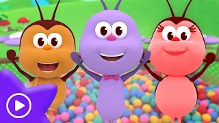 In The Ball Pit 🥳 BOOGIE BUGS 🐞 MIX 🌈  PREMIERE 🎵 NURSERY RHYMES FOR KIDS