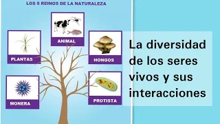 La diversidad de los seres vivos y sus interacciones - Ciencias Naturales