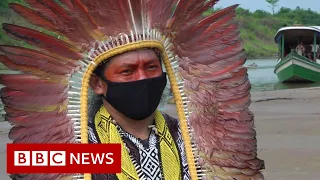 Amazon rainforest: 'Paying the price for disrespecting nature' - BBC News