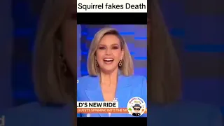 Stitch: Squirrel Fakes his own Death