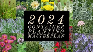 2024 Container Gardening Masterplan | An Experiment On Drought Tolerant Plants