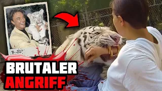 Dieser Weiße Tiger Attackierte Seinen Besitzer Vor Den Augen Aller Zuschauer!
