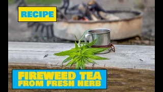 How to Make Fireweed Tea vol 1 - Easy Outdoors Drinks